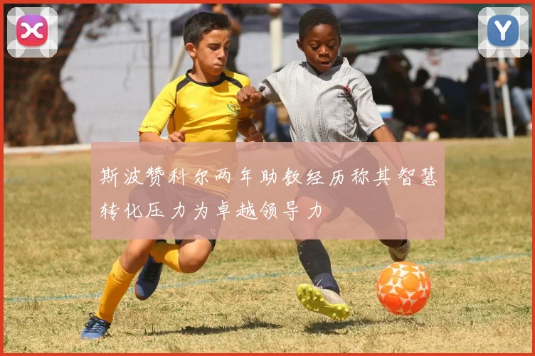 斯波赞科尔两年助教经历称其智慧转化压力为卓越领导力