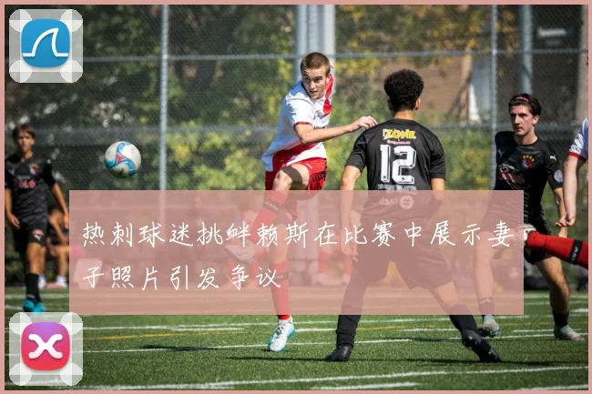热刺球迷挑衅赖斯在比赛中展示妻子照片引发争议